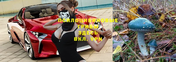 молекула духа Михайлов