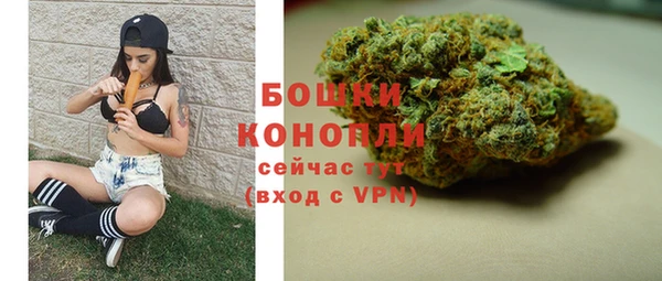 гидра Медногорск