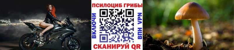 маркетплейс как зайти  Нижний Ломов  Галлюциногенные грибы прущие грибы 